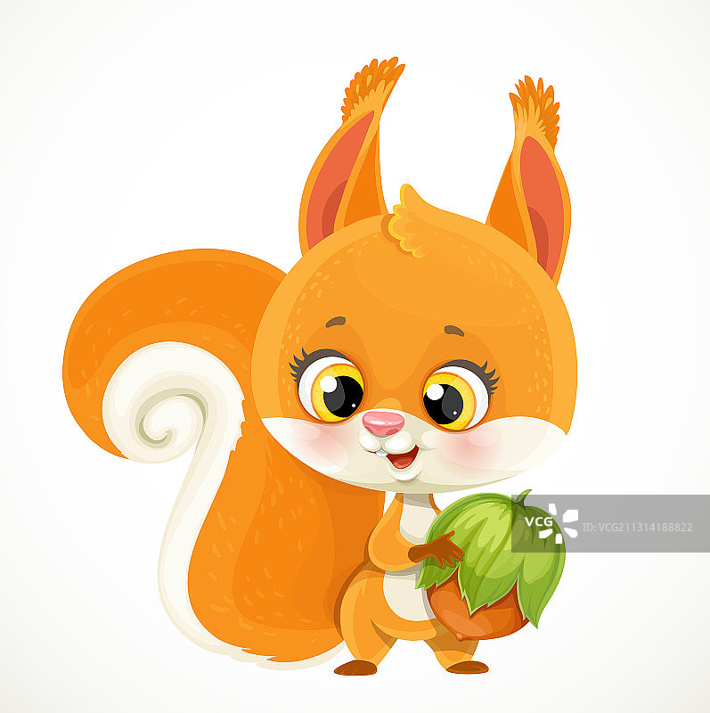 爪子里拿着榛子的可爱小红松鼠图片素材