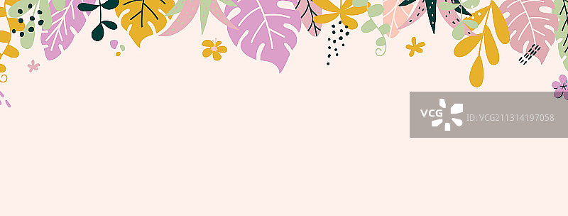 热带树叶植物夏季长横幅图片素材