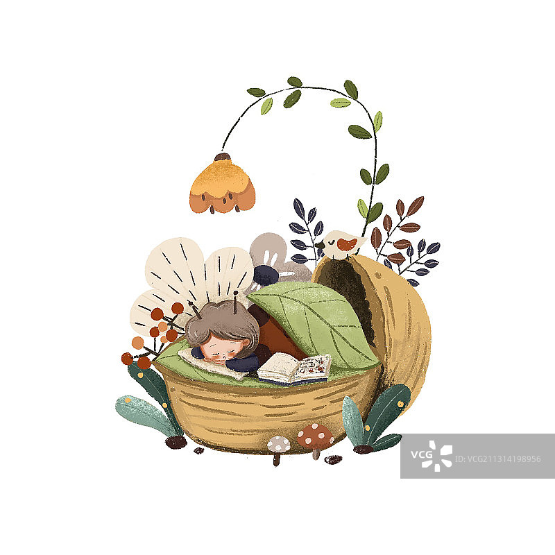 谁在核桃壳里的小精灵图片素材