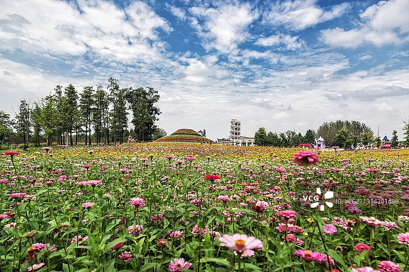 梦幻花海，扬州市马可波罗花世界，扬州生态科技新城自在岛图片素材