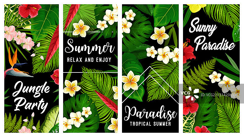 热带植物和花卉banner合集图片素材