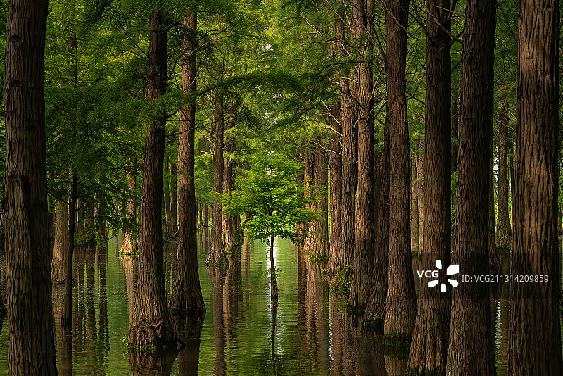 Stand with Titans图片素材