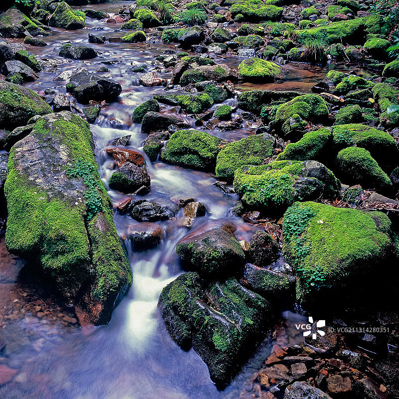 绿石谷图片素材