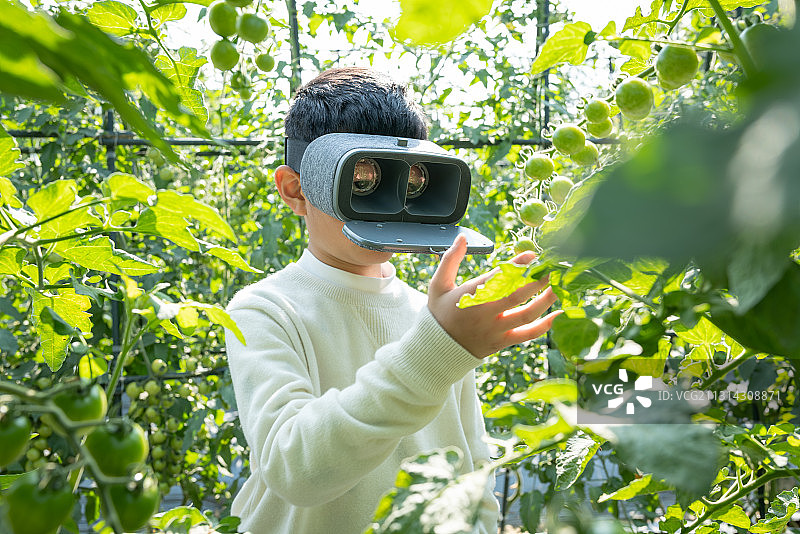 儿童使用VR设备观察图片素材