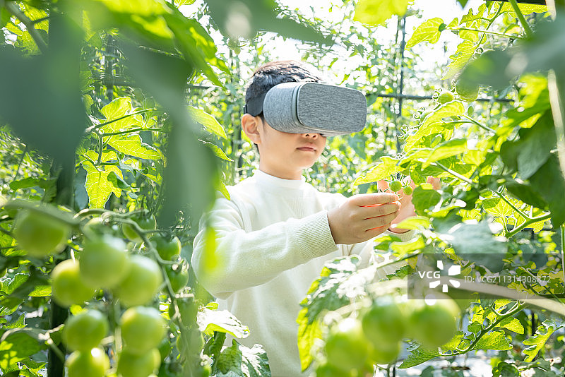 儿童使用VR设备观察图片素材