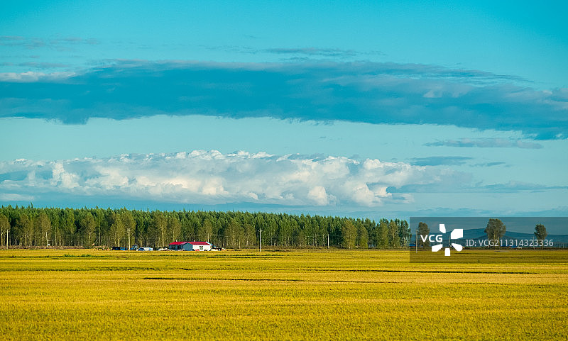 东北大地的秋季图片素材