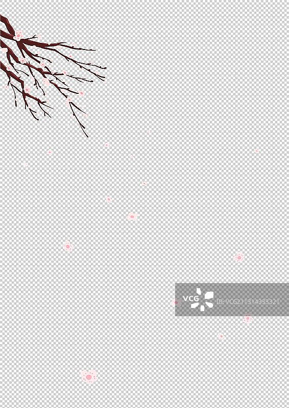 落梅梅花图片素材