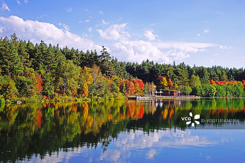 长白山湖岸彩林图片素材