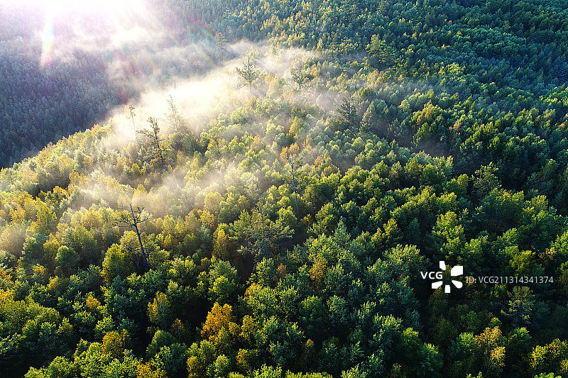 大兴安岭林区原始森林云海图片素材