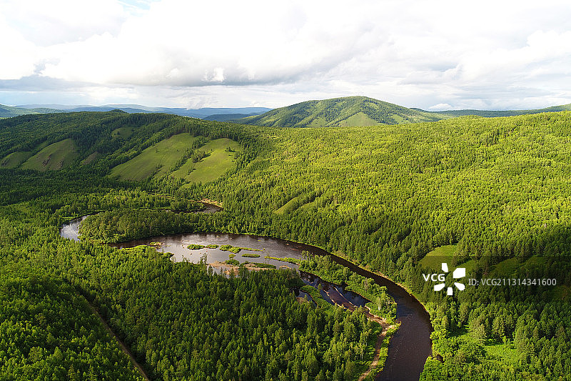 大兴安岭阿巴河流域茫茫绿色林海图片素材