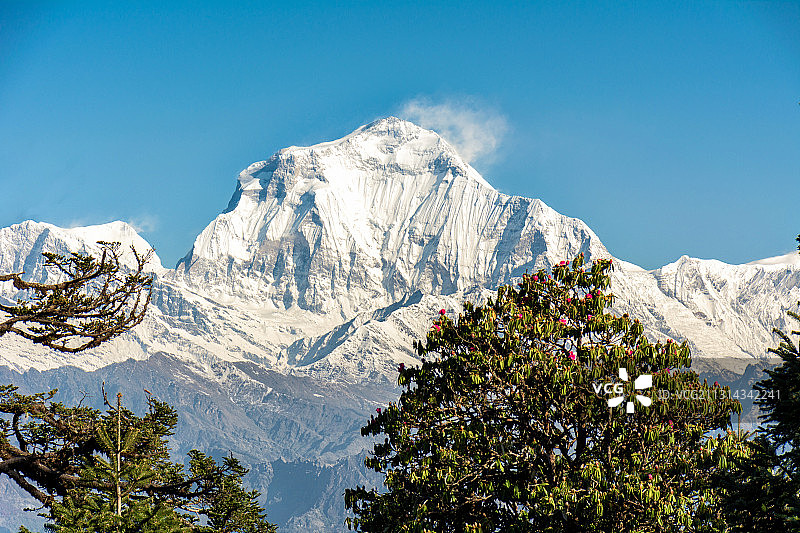 尼泊尔雪山风光，雪山，道拉吉利峰，喜马拉雅山脉，西藏以西图片素材