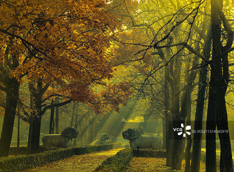 金陵神道的晨光图片素材