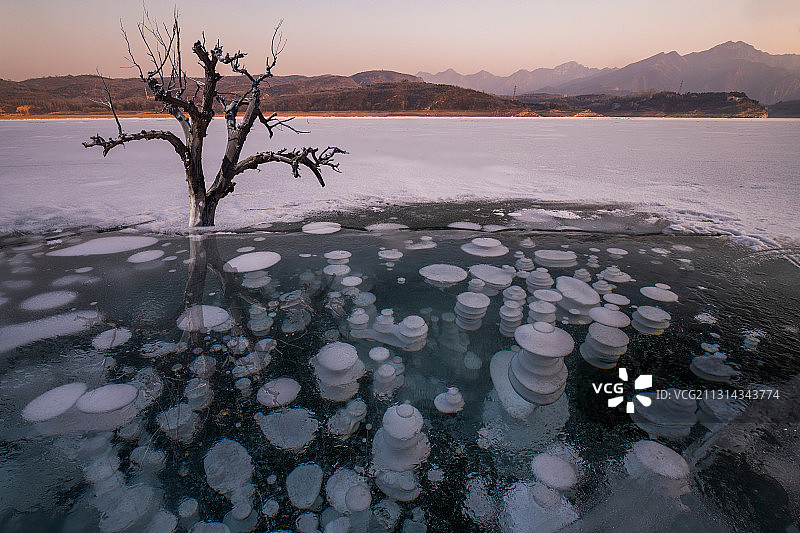 孤独之树与冰泡图片素材