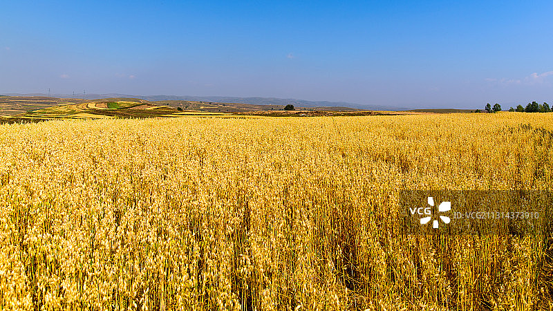 张家口崇礼草原天路图片素材