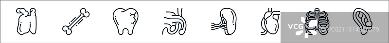人体器官线性图标合集图片素材