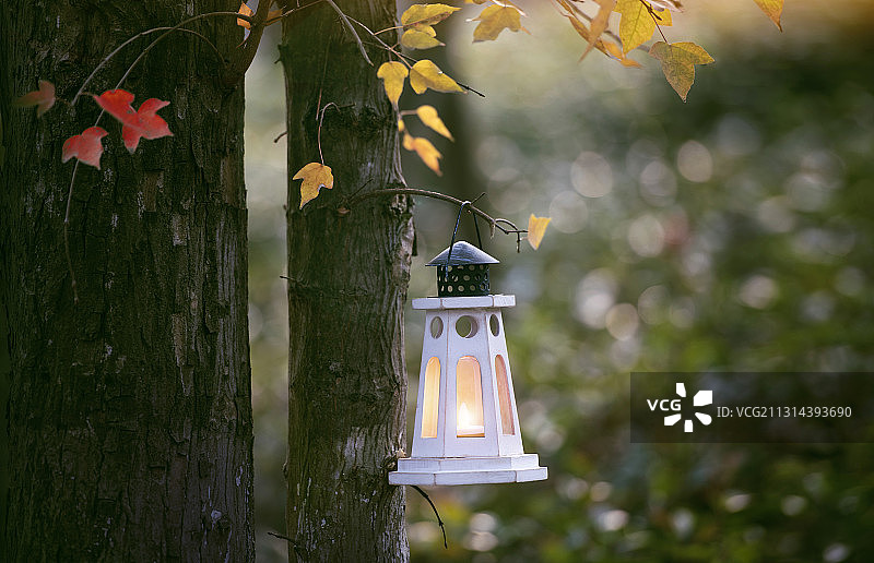 日落前的光影故事图片素材