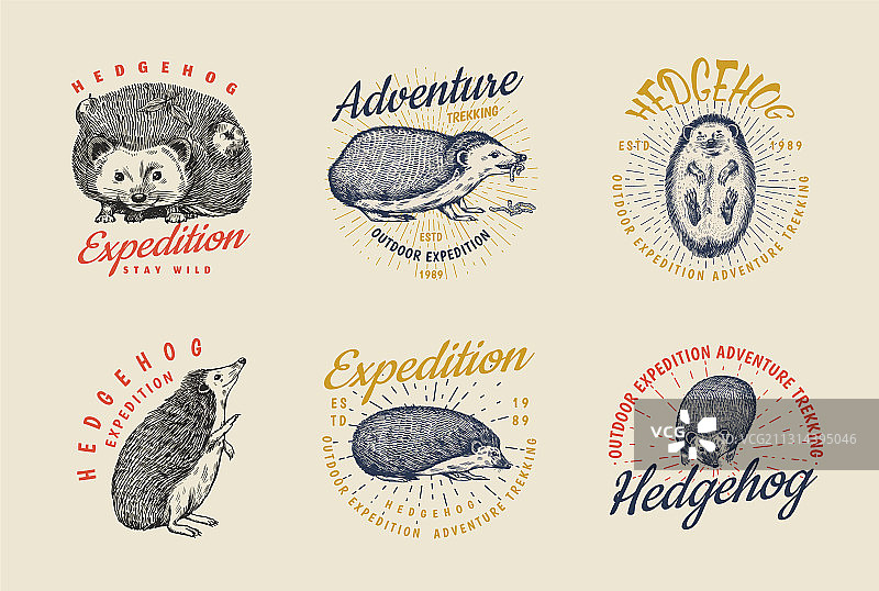 刺猬徽章套装：多刺森林野生动物标签图片素材