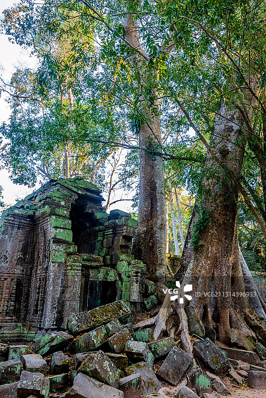 柬埔寨暹粒吴哥塔普伦寺图片素材