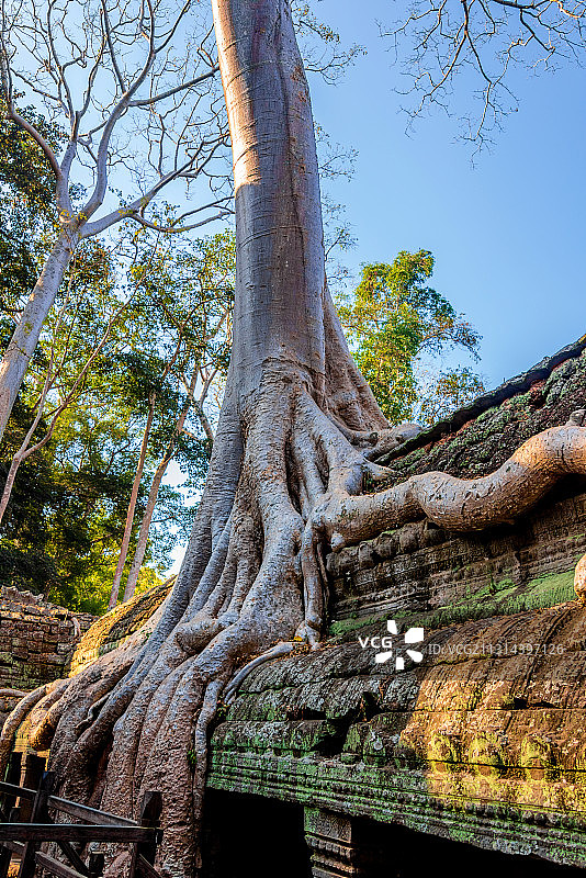 柬埔寨暹粒吴哥塔普伦寺图片素材