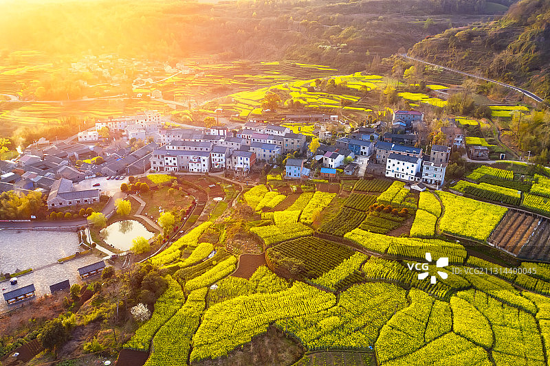 桑洲春色图片素材