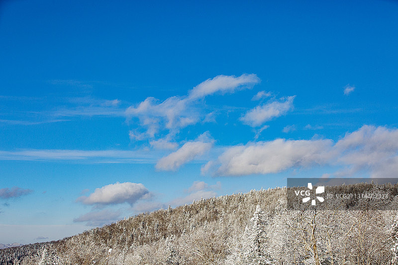 东北：黑龙江雪乡国家森林公园羊草山雪景图片素材