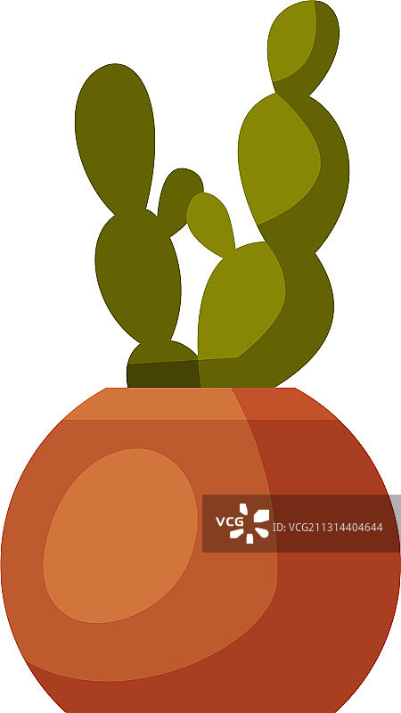 泥盆栽室内植物图片素材