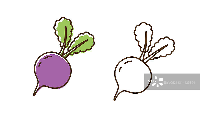 彩色单色甜菜组合扁平风格图片素材