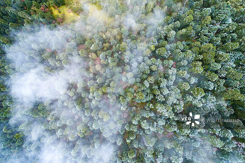 西藏自治区林芝地区4A级旅游景区鲁朗林海云雾中雪景航拍高视角图片素材