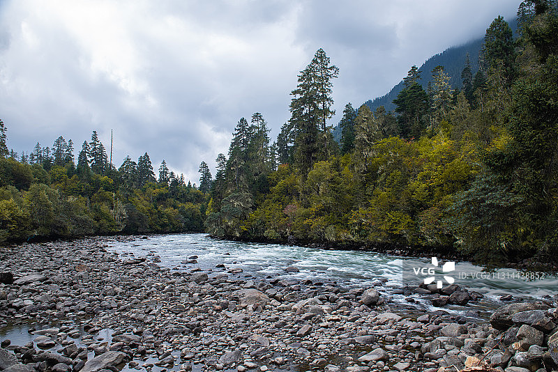 西藏自治区林芝地区米林县珞巴族AAAA级景区南伊沟景观图片素材