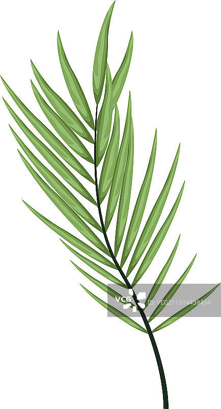 热带棕榈树叶自然图标图片素材