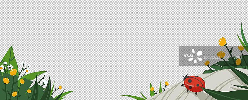 草丛石堆植物花草昆虫图片素材