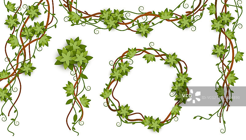 热带植物丛林藤蔓框架图片素材