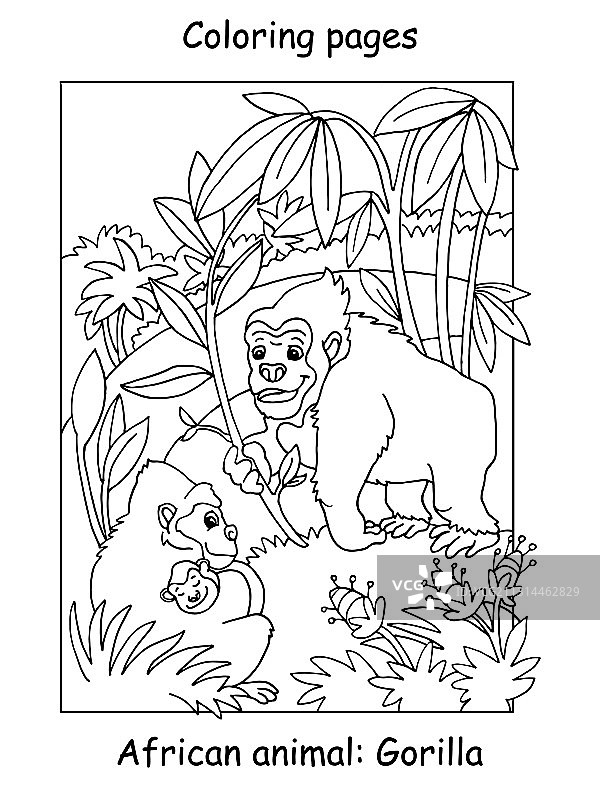 大猩猩涂色图片素材