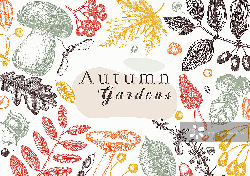 秋季元素合集图片素材