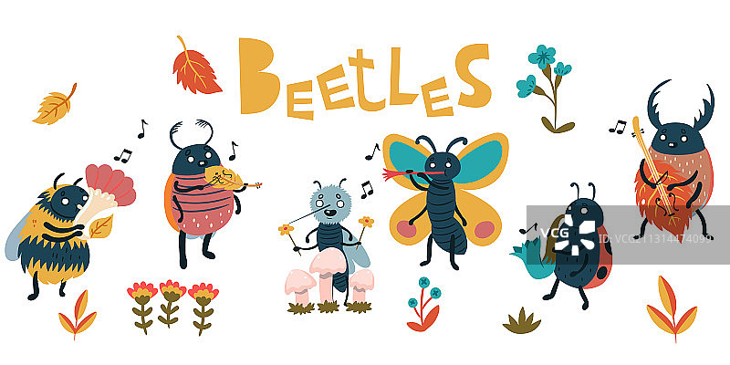 可爱的音乐家甲虫收藏图片素材