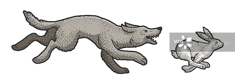 狼追逐野兔素描图片素材