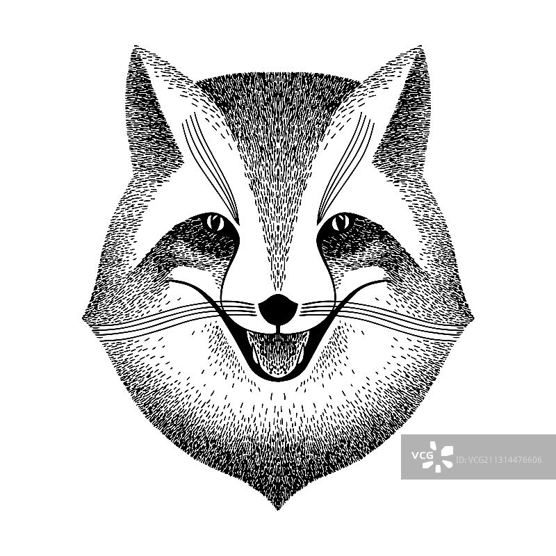 狡猾的狐狸微笑黑白纹身草图图片素材