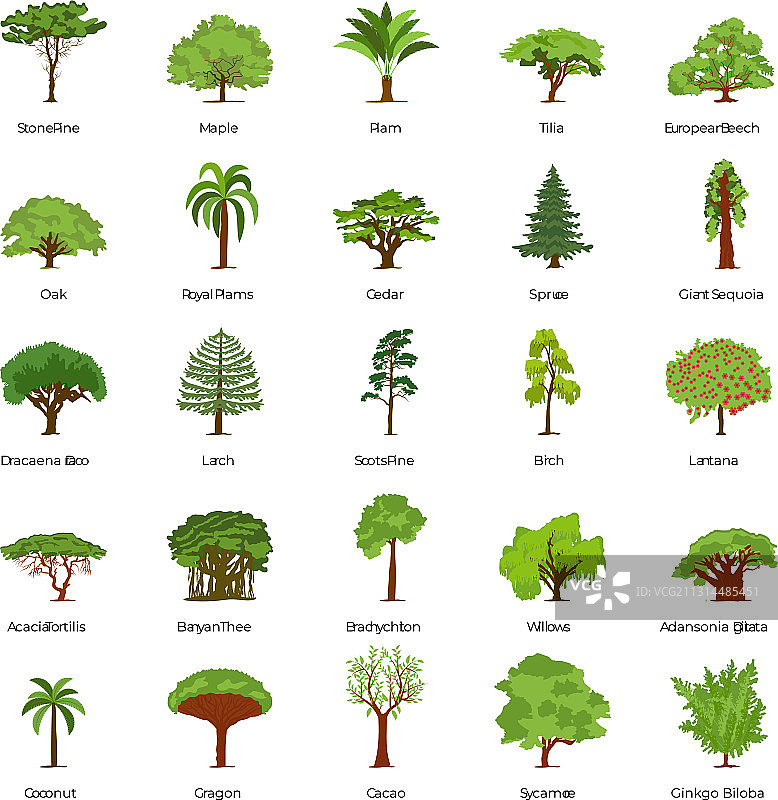 树木扁平图标合集图片素材
