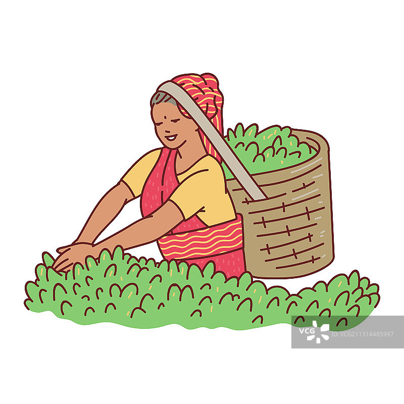 采茶叶的卡通女性角色图片素材