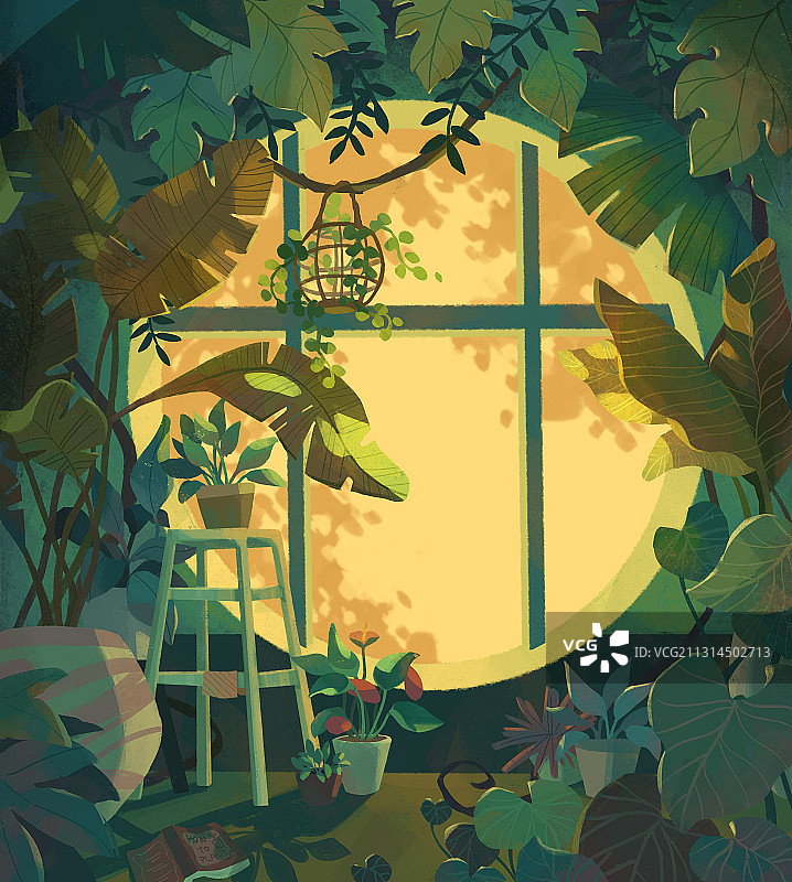 充满植物的房间图片素材