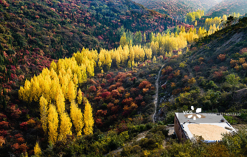 嵩山秋色图片素材
