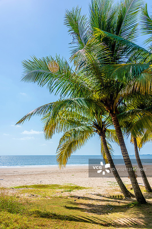 中国海南省文昌市清澜高隆湾热带风光图片素材