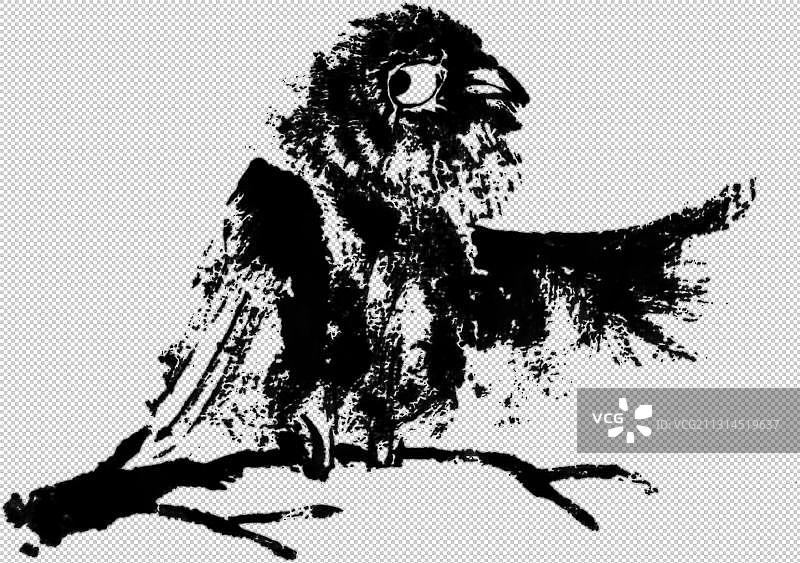 鸟元素图片素材