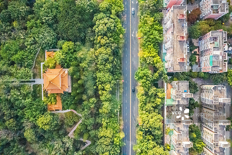 广东省深圳市龙岗区龙潭公园航拍一边公园一边住宅小区图片素材
