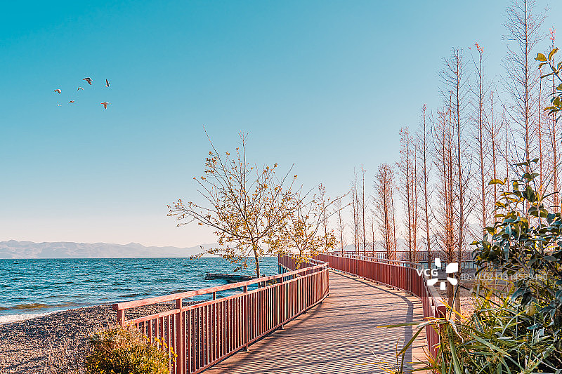 观景走廊图片素材