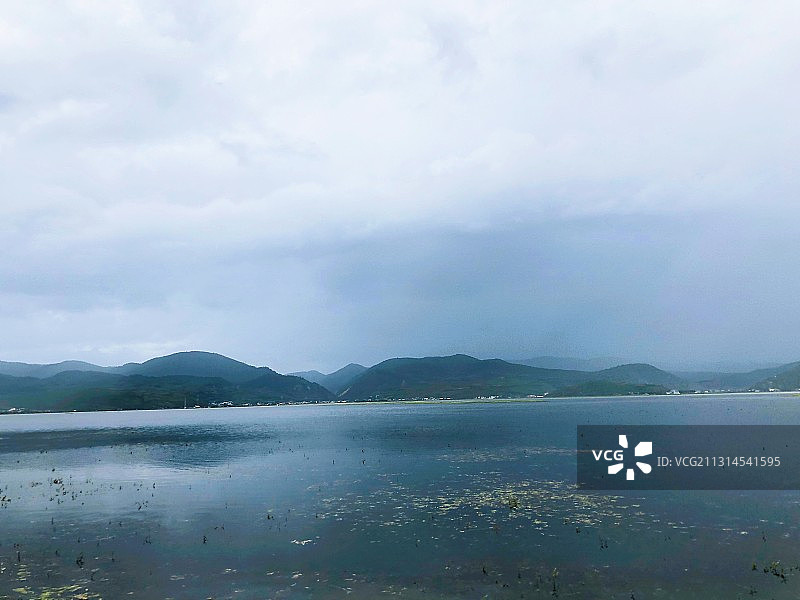 洱海特写图片素材