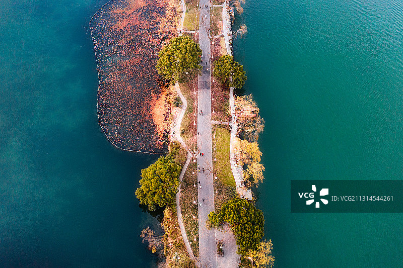 杭州西湖景区苏堤秋天景色图片素材