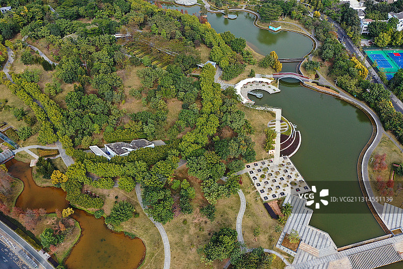 广东省深圳市政府和中心公园航拍图片素材