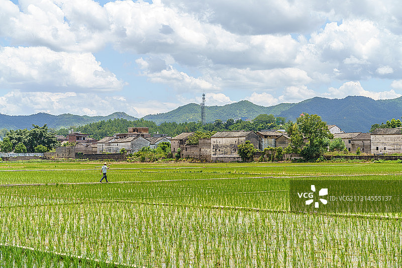广东河源林寨古村图片素材