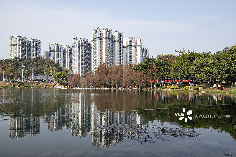 商业住宅和公园图片素材